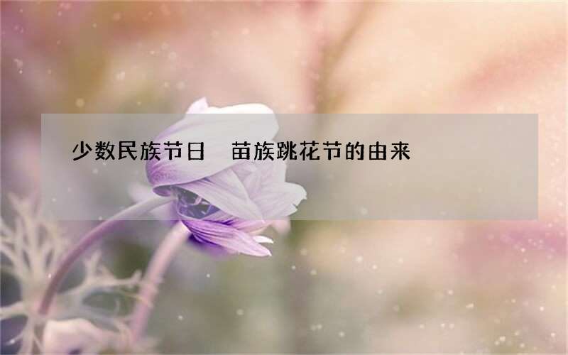 少数民族节日 苗族跳花节的由来